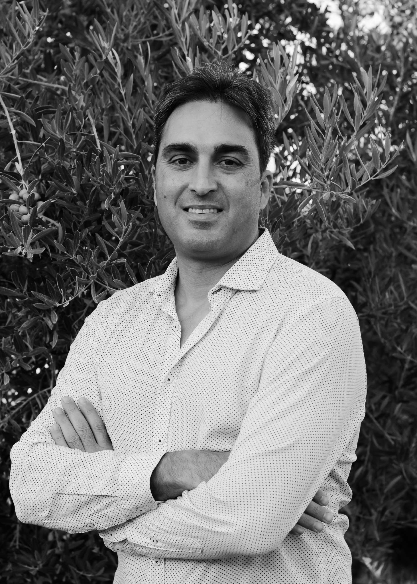 diego solis indemat